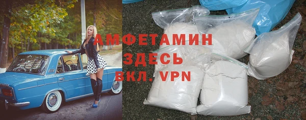 шишки Заволжье